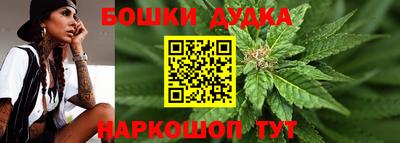 индика Комсомольск-на-Амуре