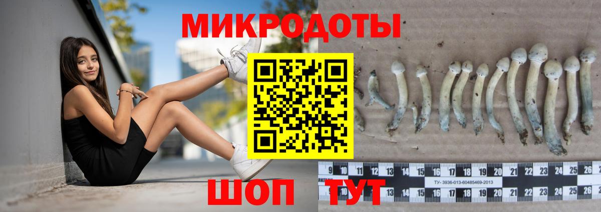Псилоцибиновые грибы мухоморы Чехов